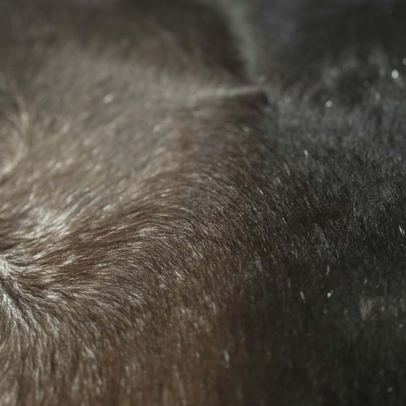 Tapete Formato de Couro Bovino Natural Preto I NP018 I 2,15 x 1,88m