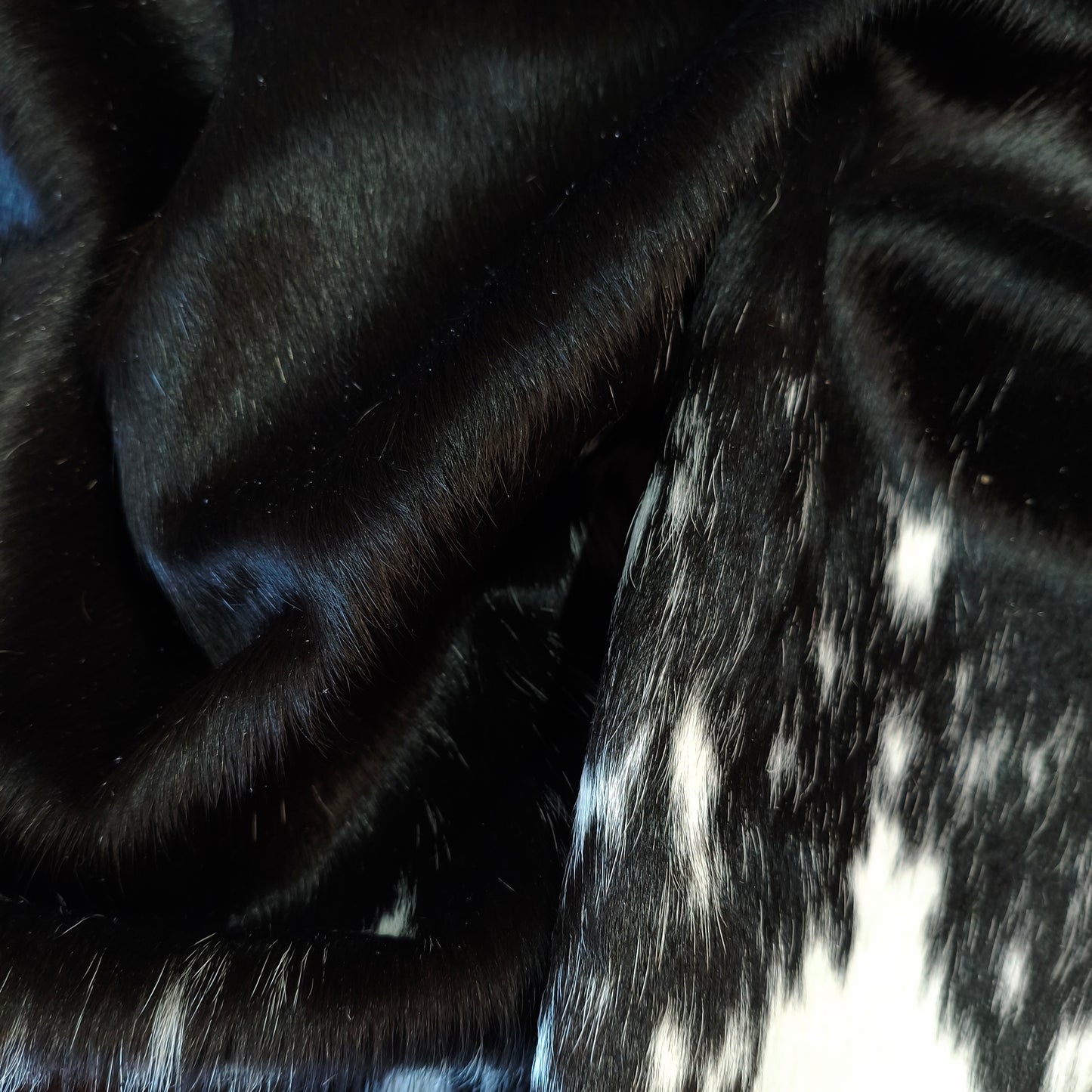 Tapete Bovino Natural Preto e Branco Pelo Alto I P1088 I 1,95x2,04m em Couro Legítimo