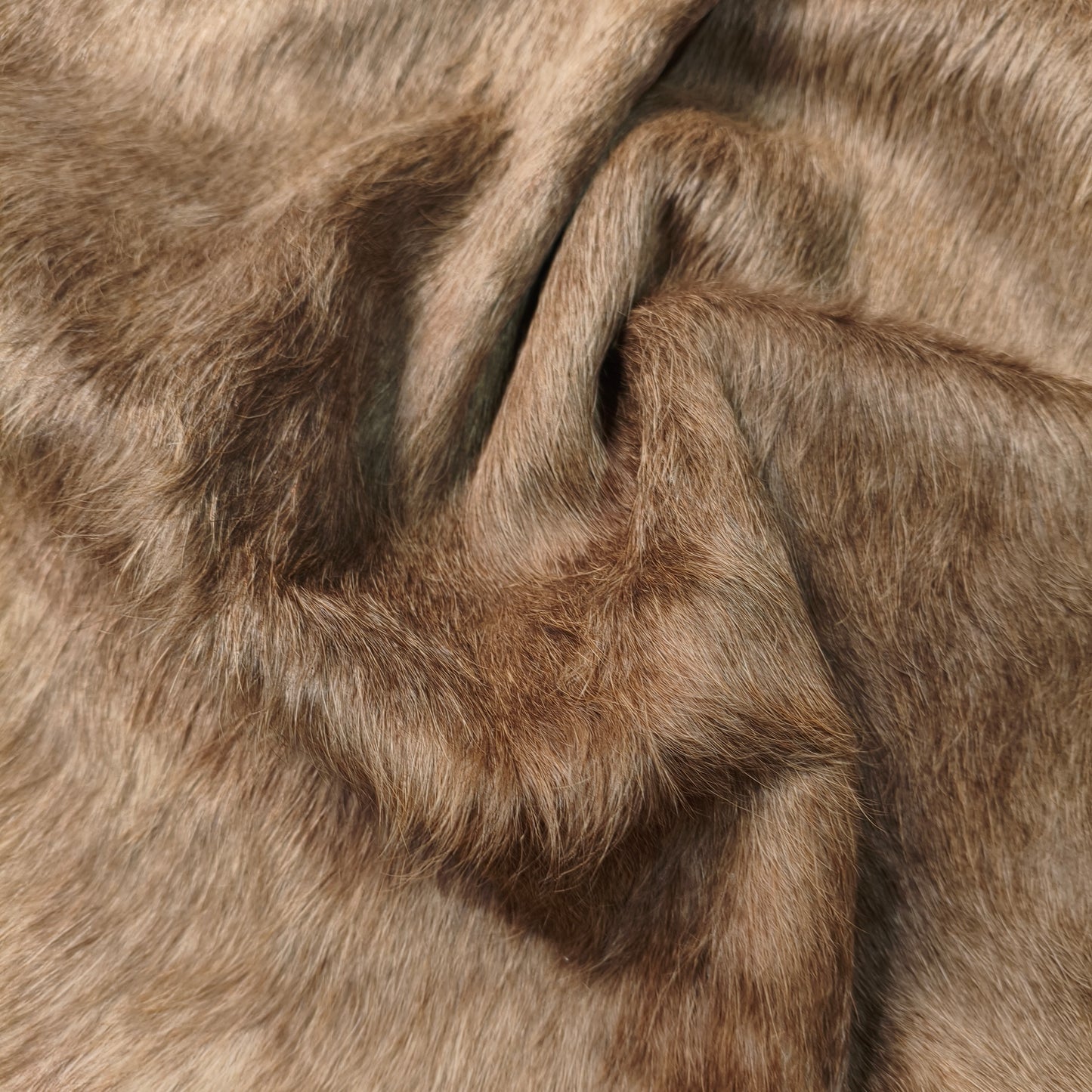 Tapete Bovino Natural Champagne Brilhoso Pelo Alto I CH926 I 1,99x1,93m
