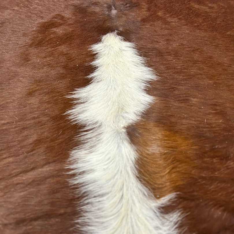 Tapete Bovino Natural Vermelho e Branco I VB341 I 1,99 x 1,91 m