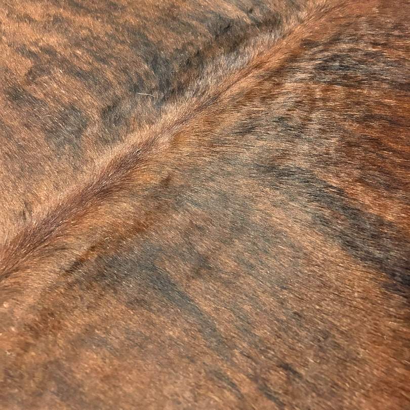 Tapete Bovino Natural Brazino Escuro I BZE354 I 2,21 x 1,97 m