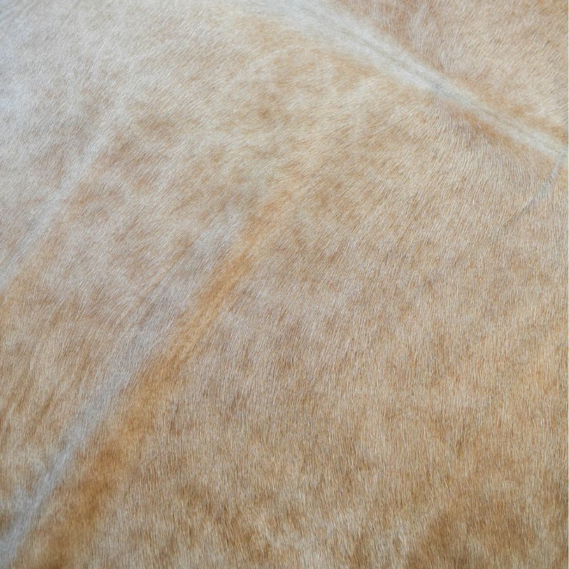 Tapete Bovino Natural Bege Claro I BC627 I 2,13x2,05m - Tamanho Grande