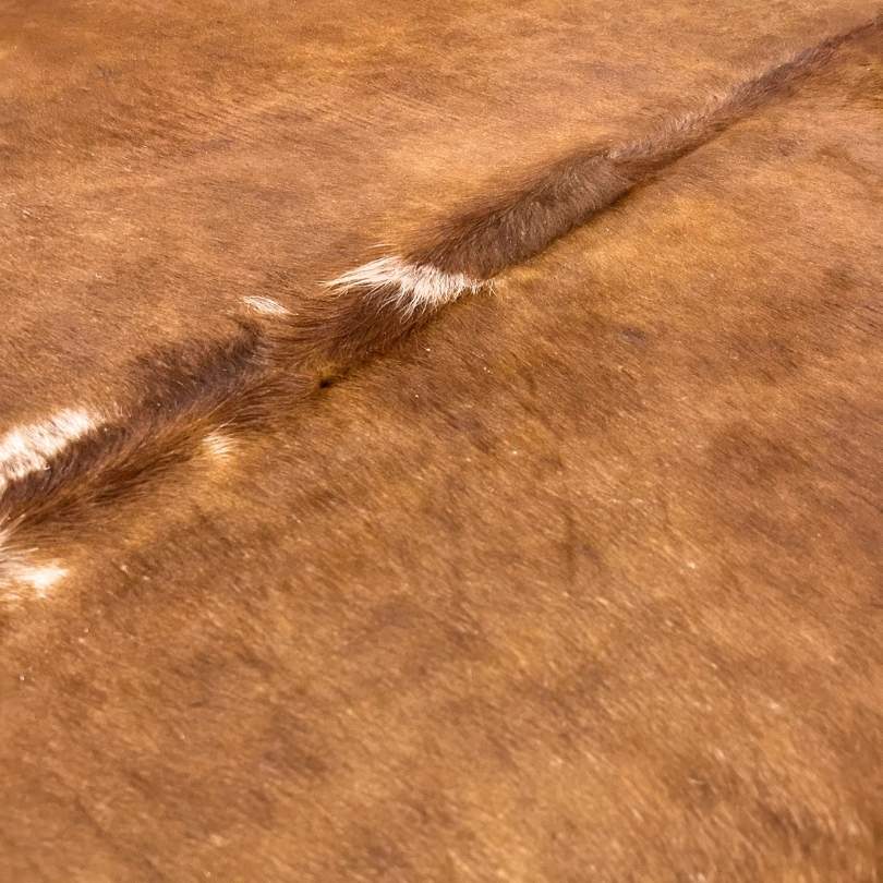 Tapete Bovino Natural Vermelho e Branco I VB373 I 2,10 x 2,10m