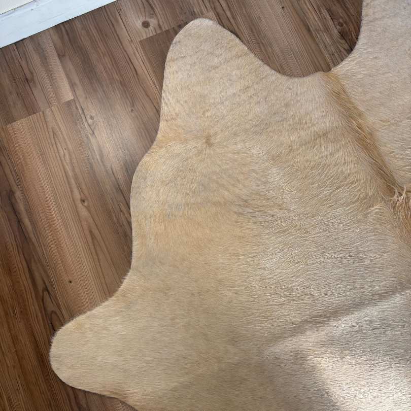 Tapete Bovino Natural Bege Claro I BC051 I 2,15 x 1,92m