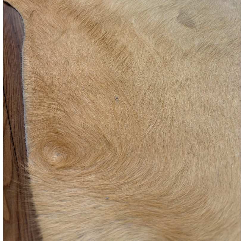 Tapete Bovino Natural Bege Claro I BC051 I 2,15 x 1,92m