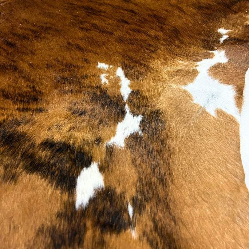 Tapete Bovino Natural Brazino Escuro I BZE360 I 2,00 x 2,00 m