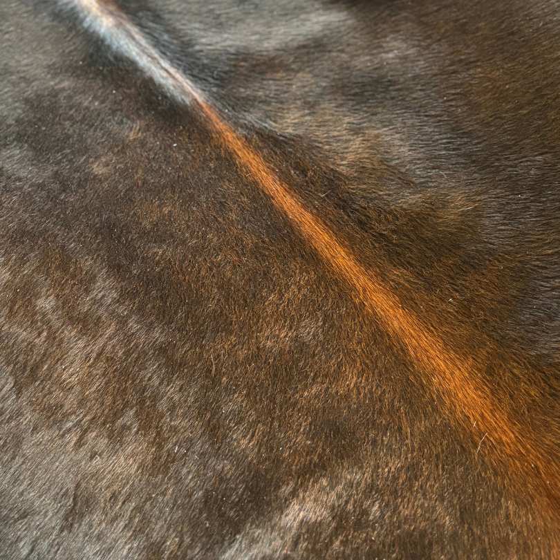 Tapete Bovino Natural Osco I OS024 I 1,94 x 1,90m