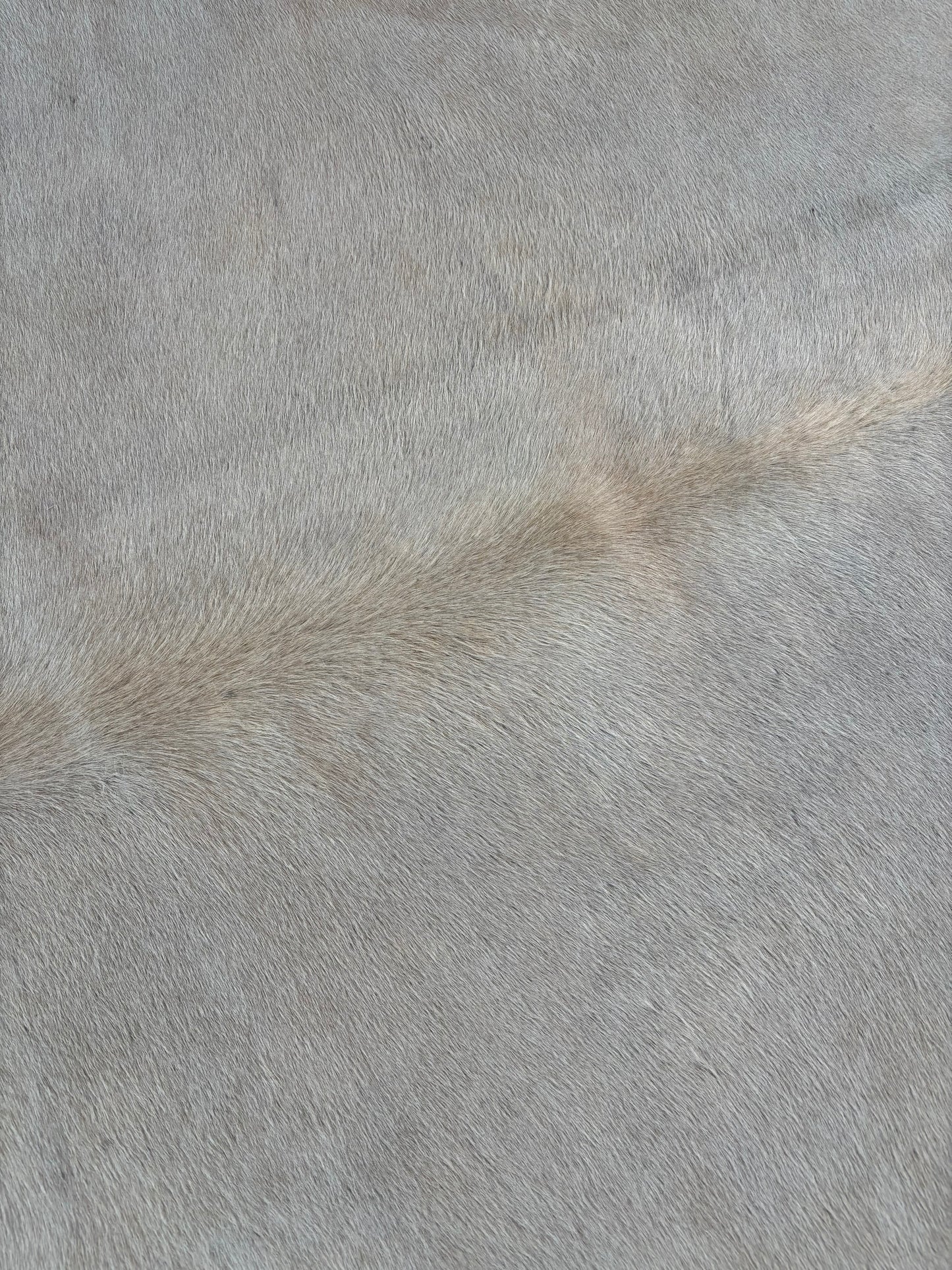 Tapete Bovino Branco I BRA1040 1,83x2,10m
