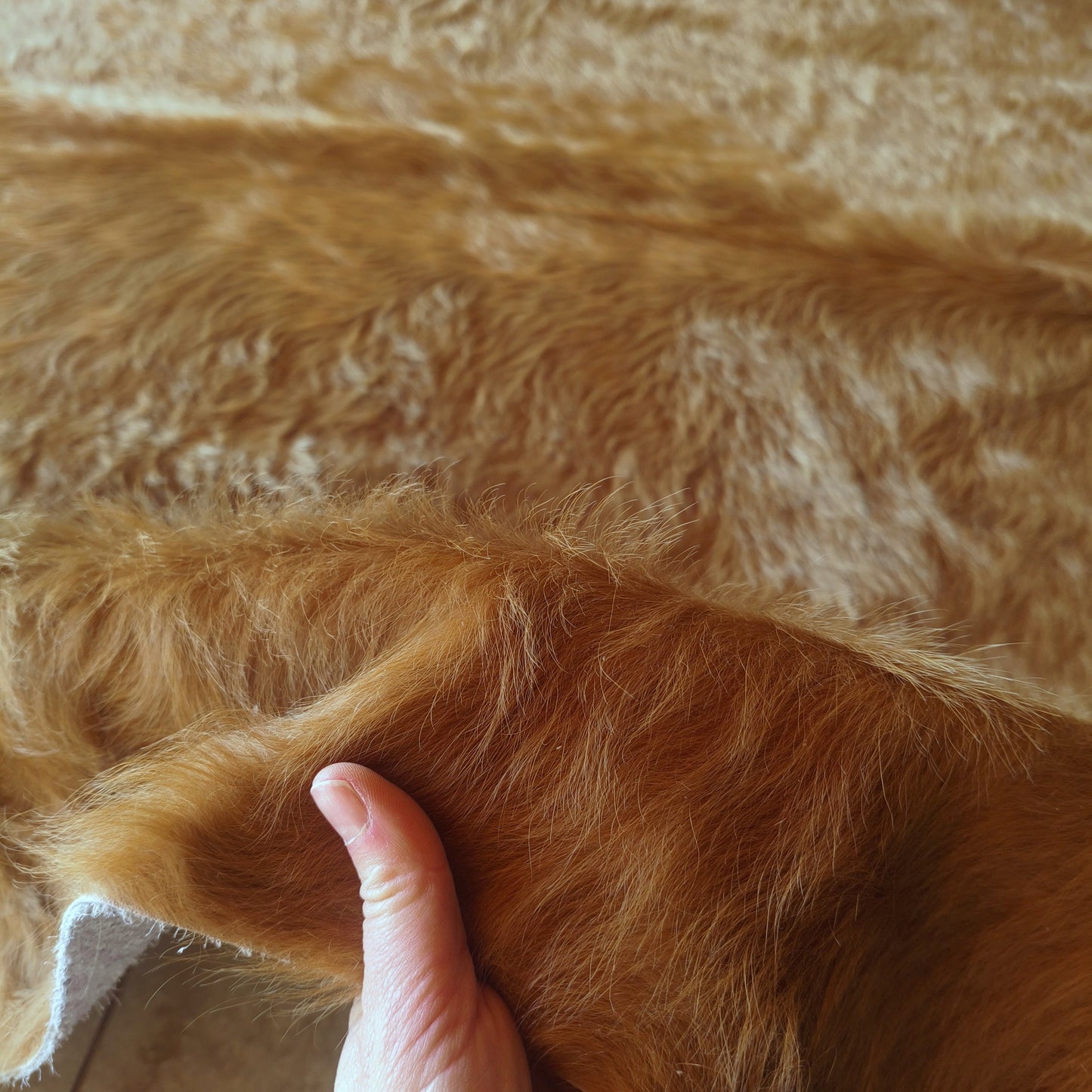 Tapete de couro de boi bege marrom dourado pelo alto BE956 — foto real 3