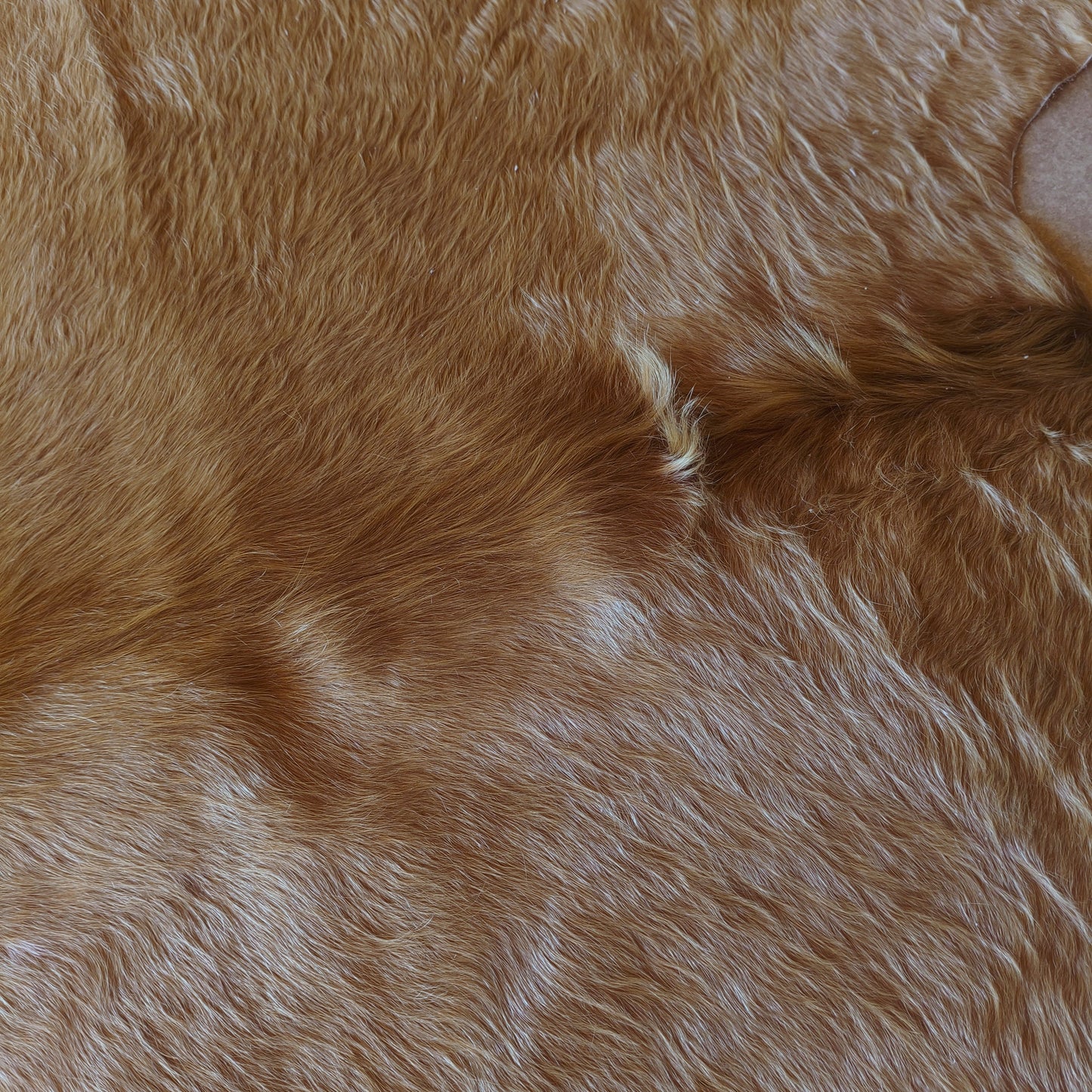 Tapete de couro de boi bege e branco BB959 — foto real 2