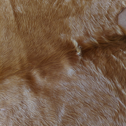 Tapete de couro de boi bege e branco BB959 — foto real 2