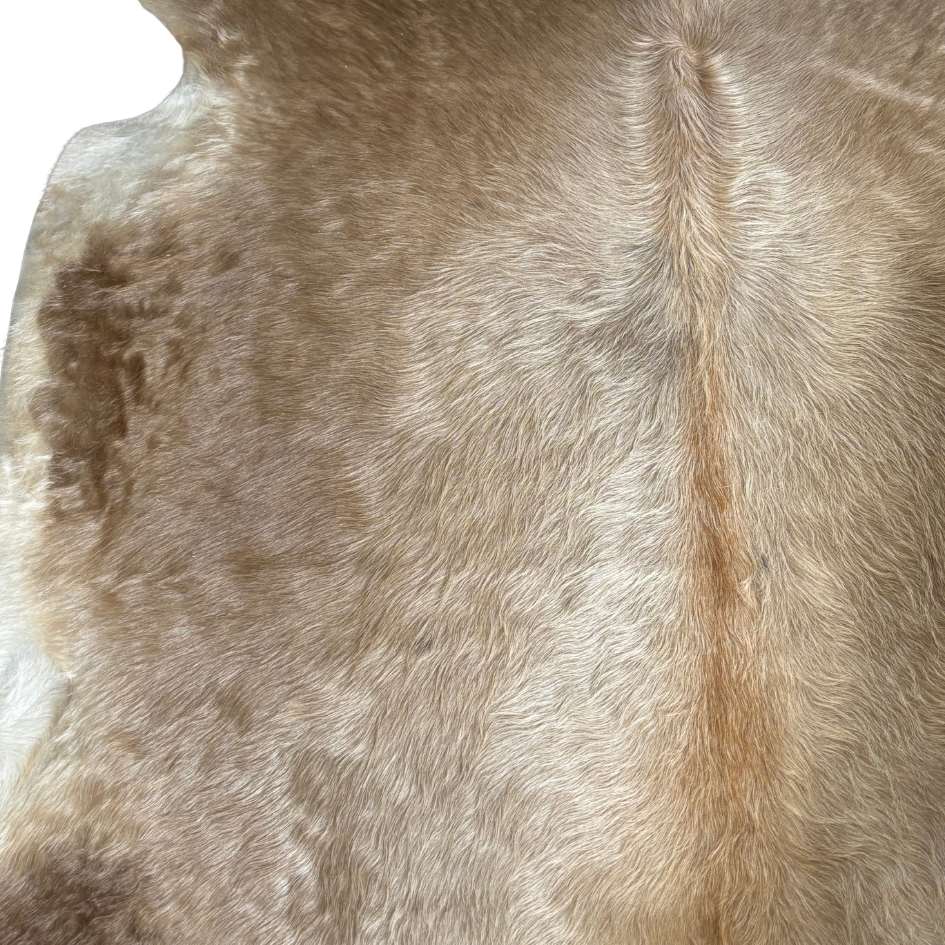 Tapete Bovino Natural Champagne I CH022 I  1,98 x 1,84m