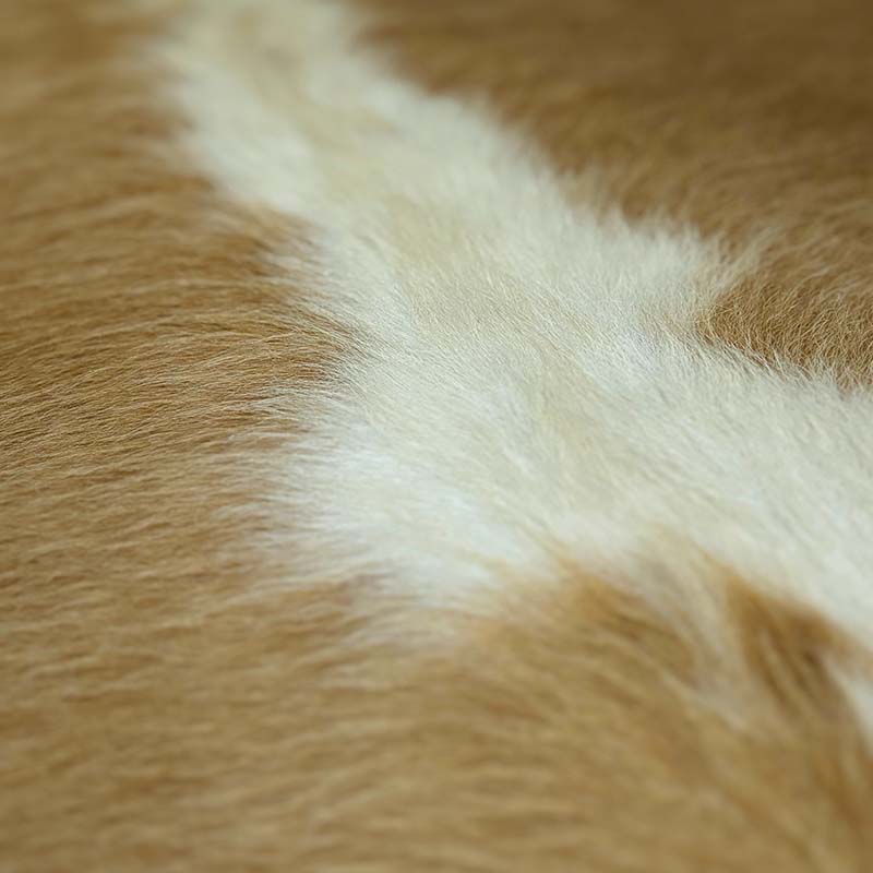 Tapete Bovino Natural Bege e Branco I BB166 I 2,07 x 1,65m