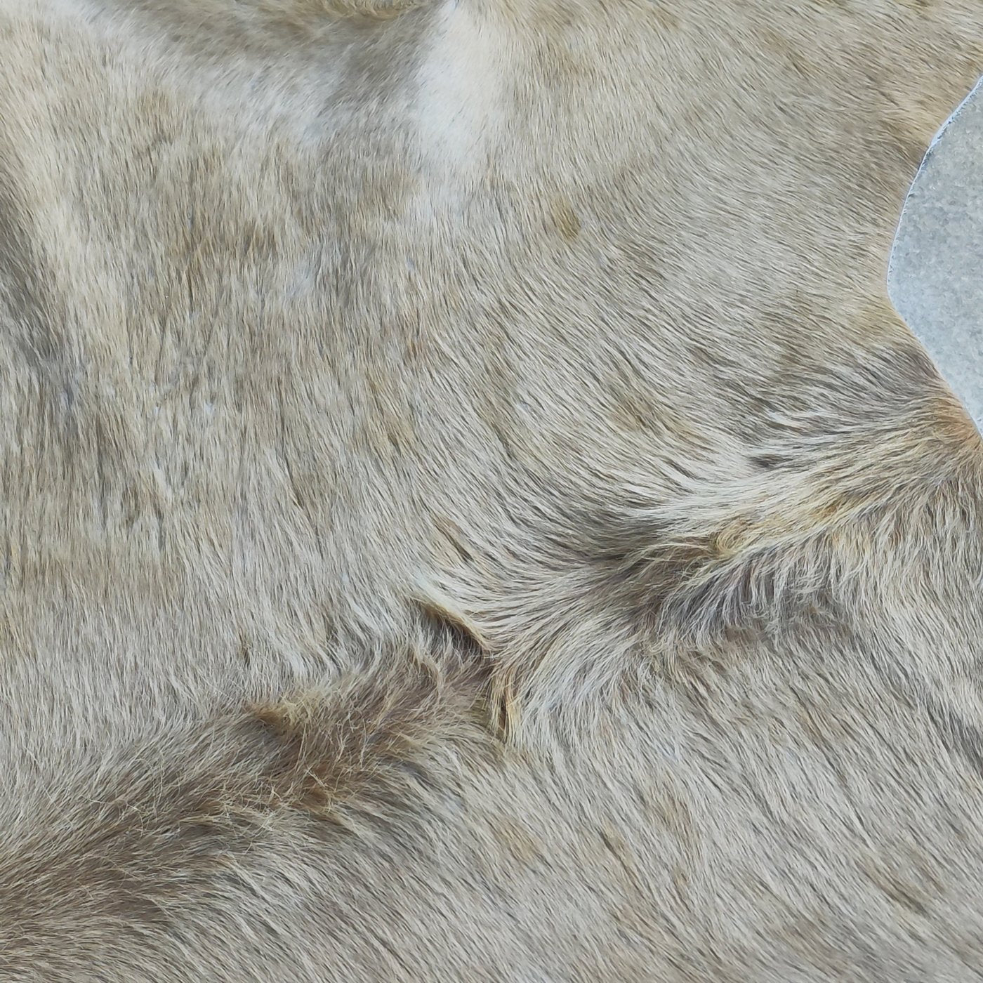 Tapete de couro de boi Bege Claro Pelo Alto BC867 — detalhe do acabamento artesanal