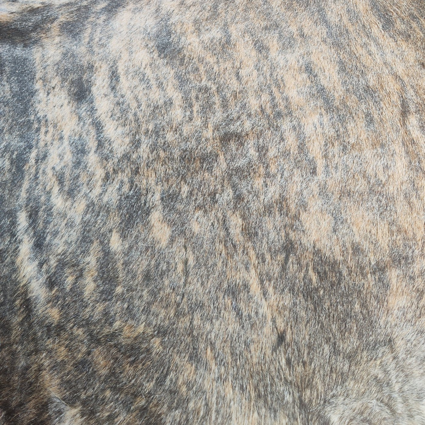 Tapete de couro Brazino Claro BZC872 — textura natural