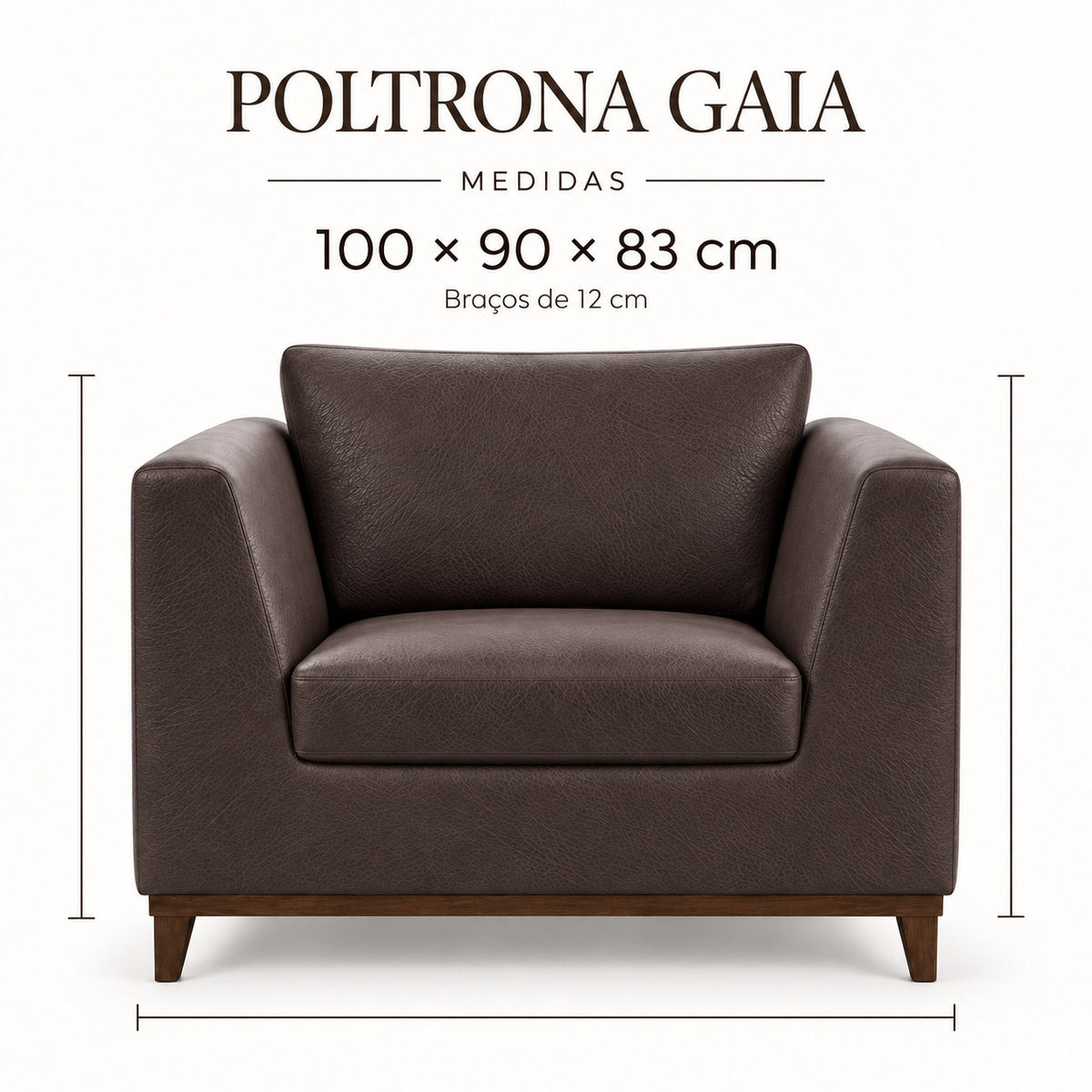 Infográfico de medidas da Poltrona Gaia em couro Café