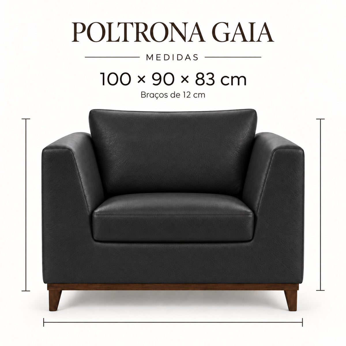 Infográfico de medidas da Poltrona Gaia em couro Preto Grafite