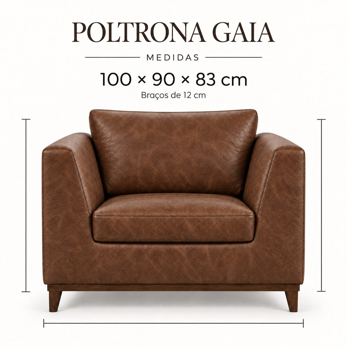 Infográfico de medidas da Poltrona Gaia em couro Tabaco