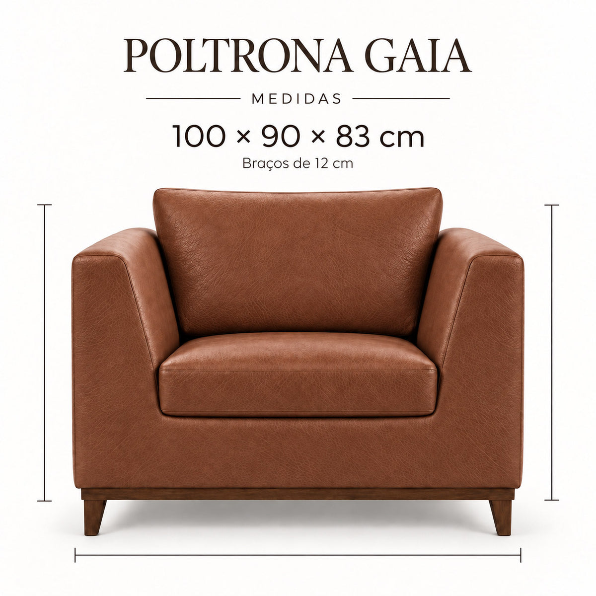 Infográfico de medidas da Poltrona Gaia em couro Terracota