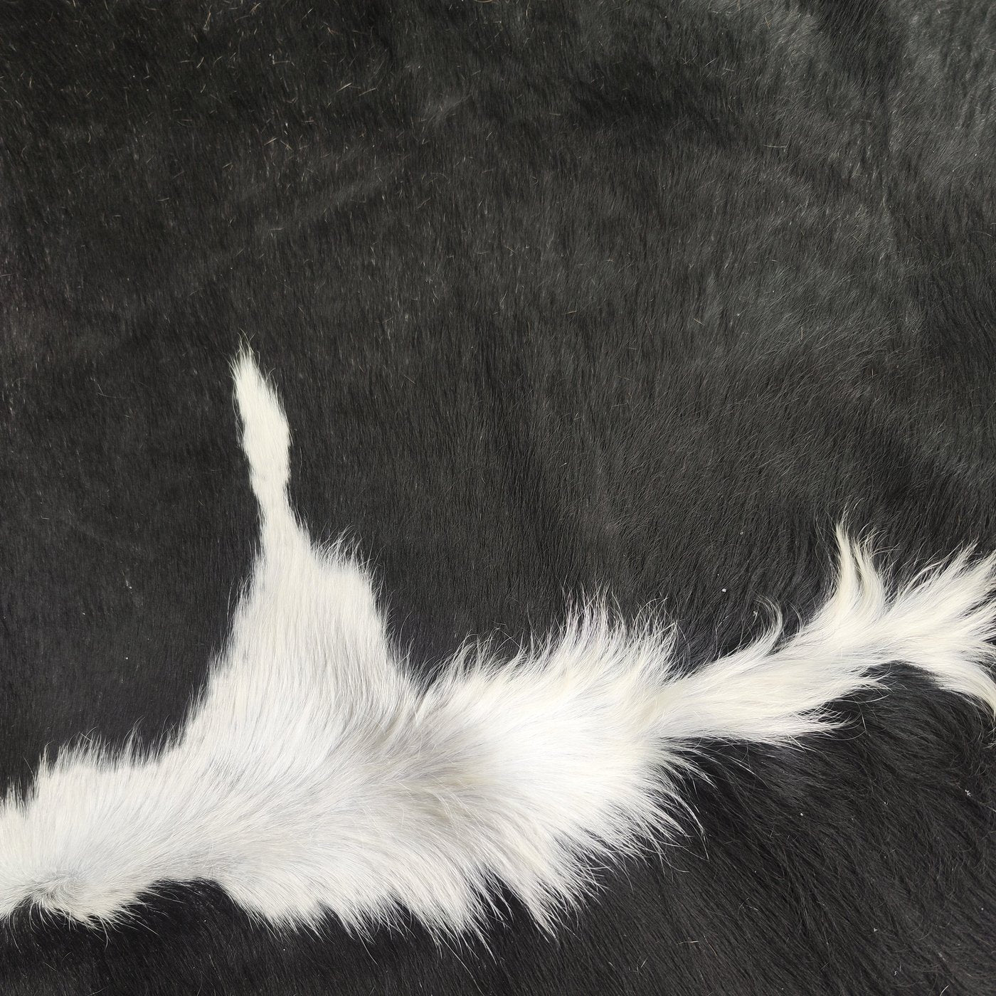 Tapete de couro de boi Preto e Branco PB838 — detalhe do acabamento artesanal