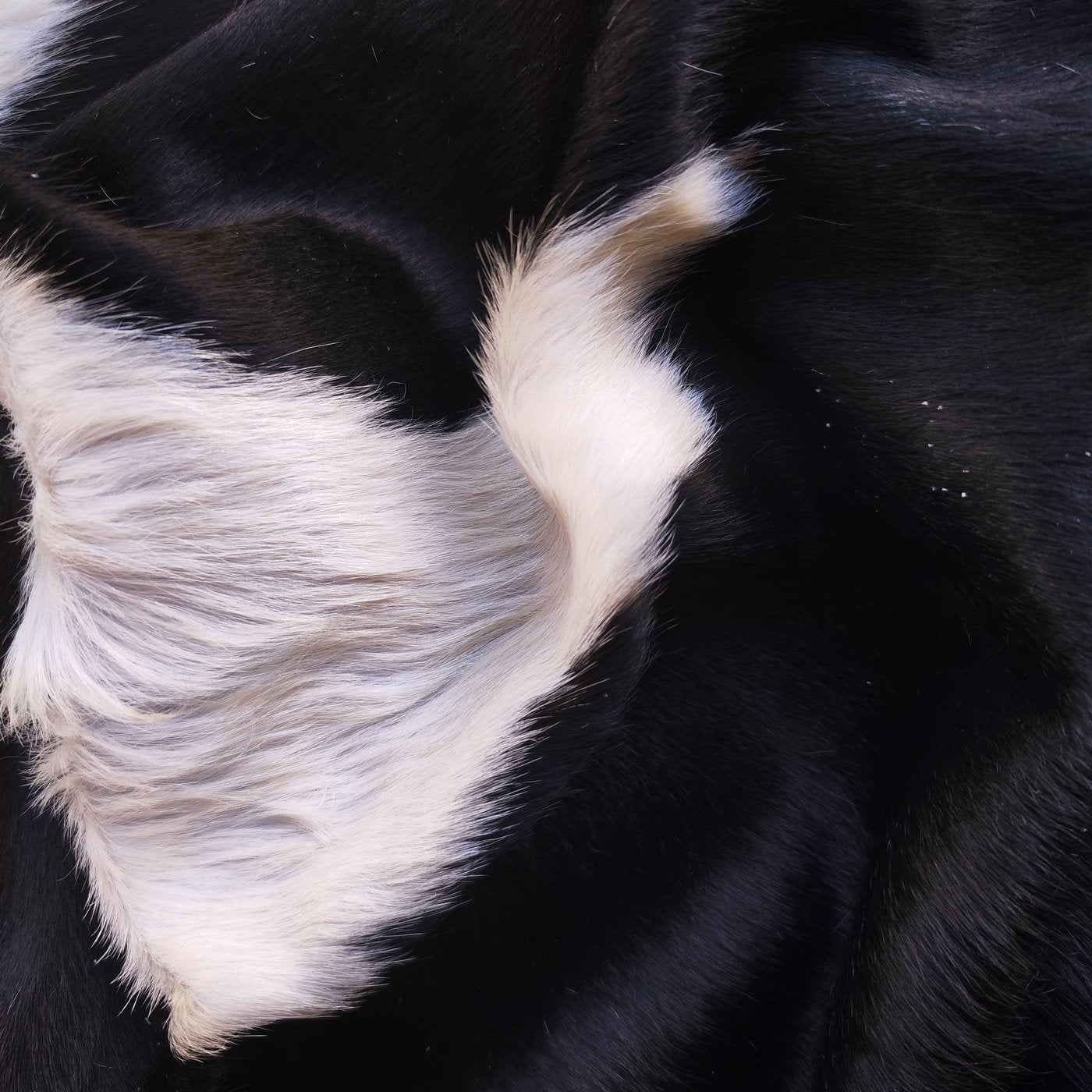 Tapete de couro de boi Preto e Branco PB861 — detalhe do acabamento artesanal