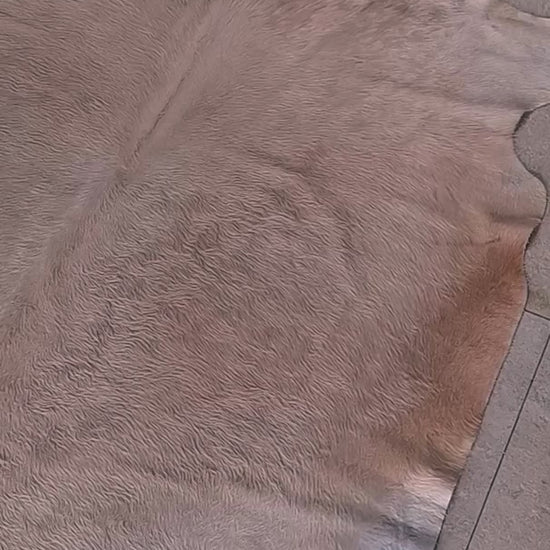 Tapete Bovino Bege Claro Brilhoso I BC1066 I 1,88x1,95m em Couro Legítimo - video WB corrigido