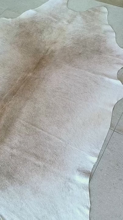 Tapete Bovino Bege Claro Pelo Curto I BC1061 I 2,05x2,15m em Couro Legítimo
