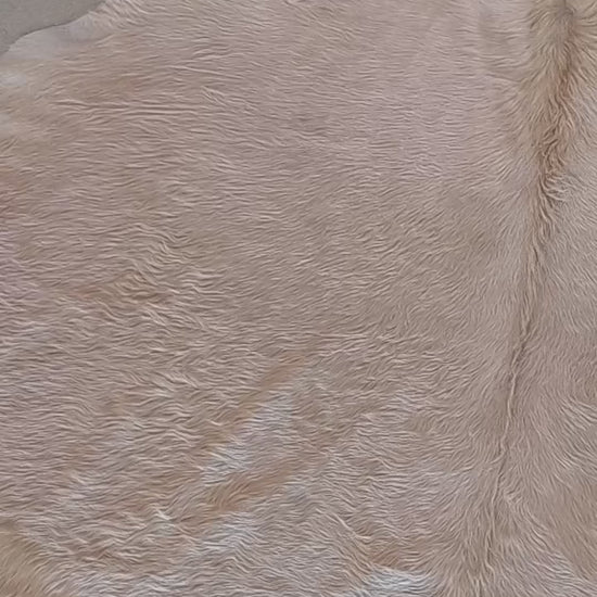 Tapete de pele de boi — vídeo real do produto BC980