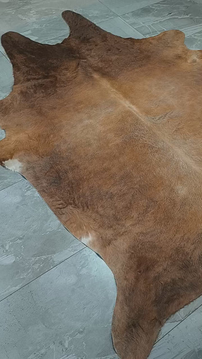 Tapete Bovino Exótico Bege Brilhoso I EXC1111 I 2,17x1,92m em Couro Legítimo