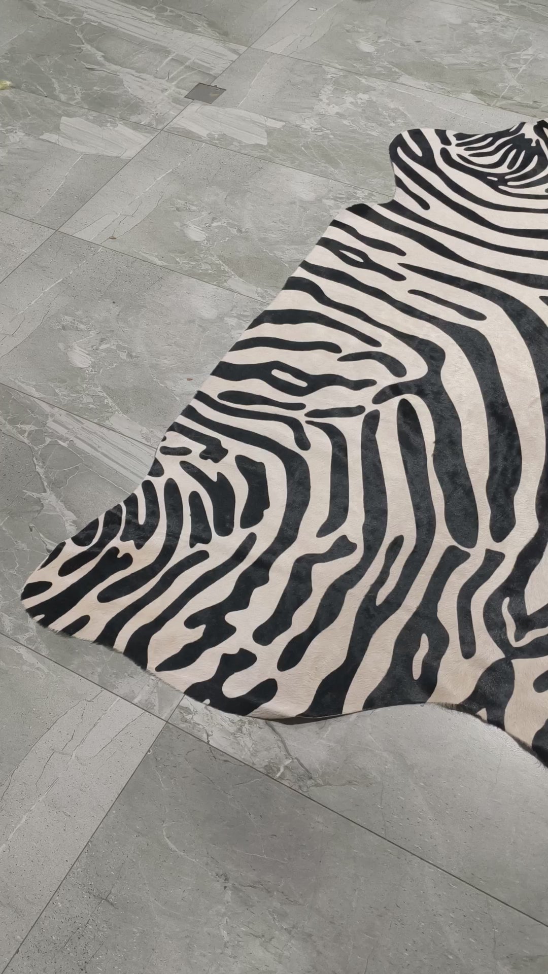 Tapete Bovino Serigrafia Zebra — vídeo