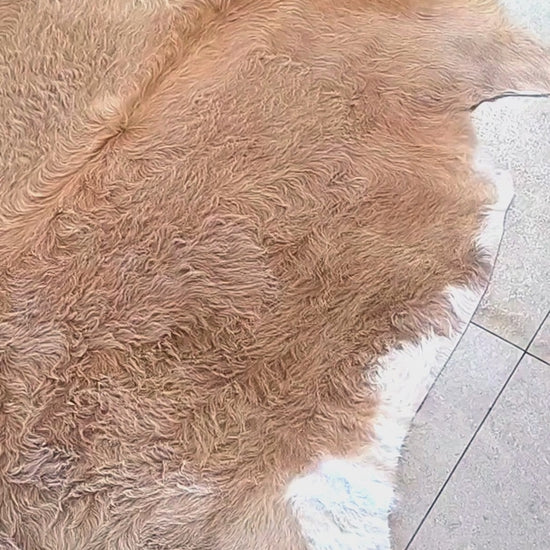 Tapete de couro bovino bege e branco pelo longo BB966 1,87x1,93m — video