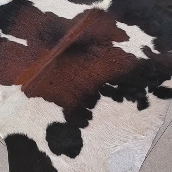 Tapete de pele de boi — vídeo real do produto EXC1034