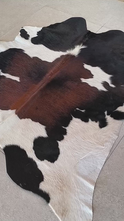Tapete de pele de boi — vídeo real do produto EXC1034