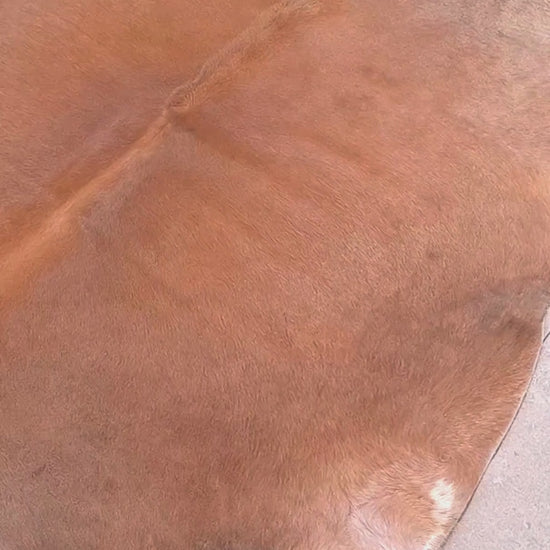Tapete de couro bovino bege escuro pelo curto BE971 1,93x2,02m — video