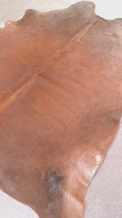 Tapete de couro bovino bege escuro pelo curto BE971 1,93x2,02m — video