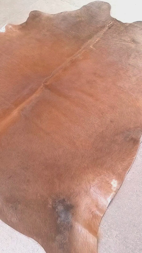 Tapete de couro bovino bege escuro pelo curto BE971 1,93x2,02m — video