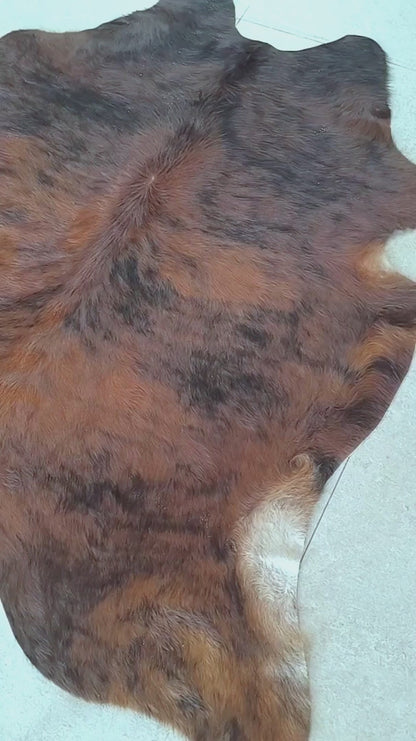 Tapete Bovino Natural Brazino Escuro I BZE1077 I 1,84x1,80m em Couro Legítimo - video WB corrigido