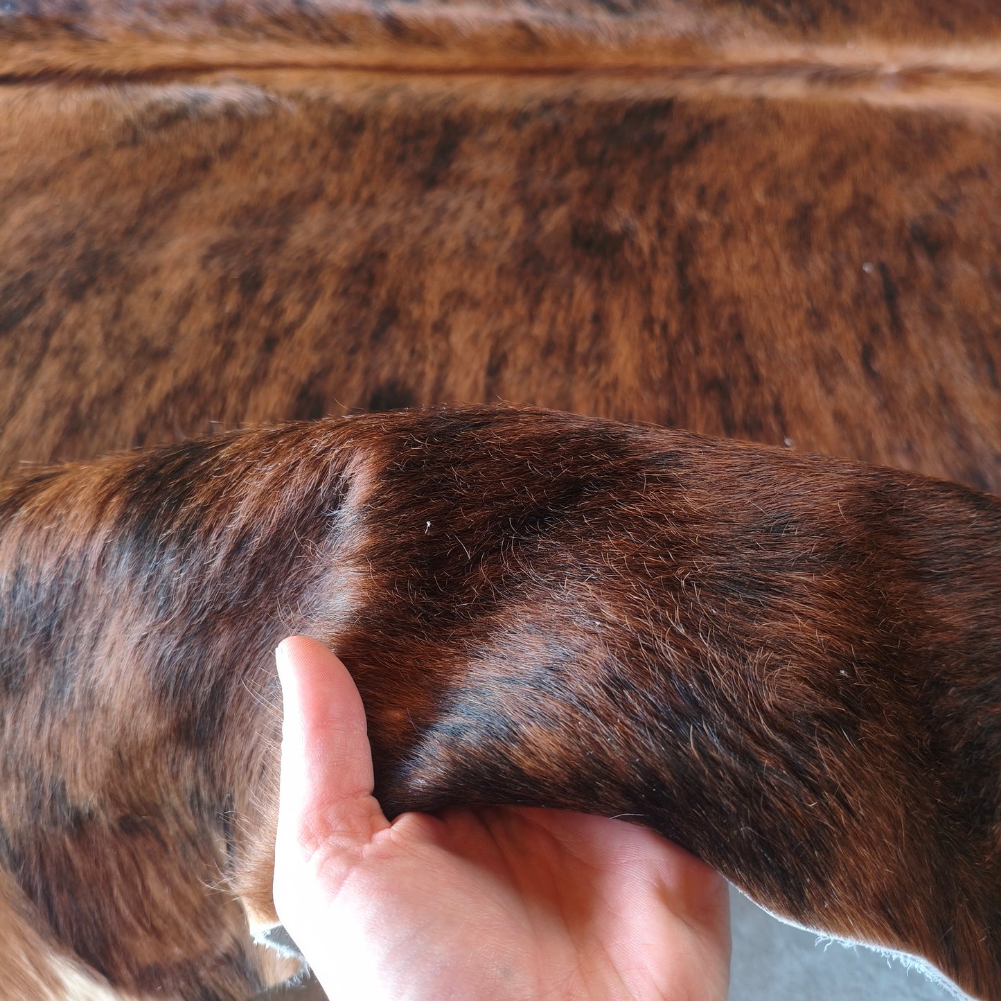Tapete de couro de boi natural brazino escuro BZE1079 — foto real 3