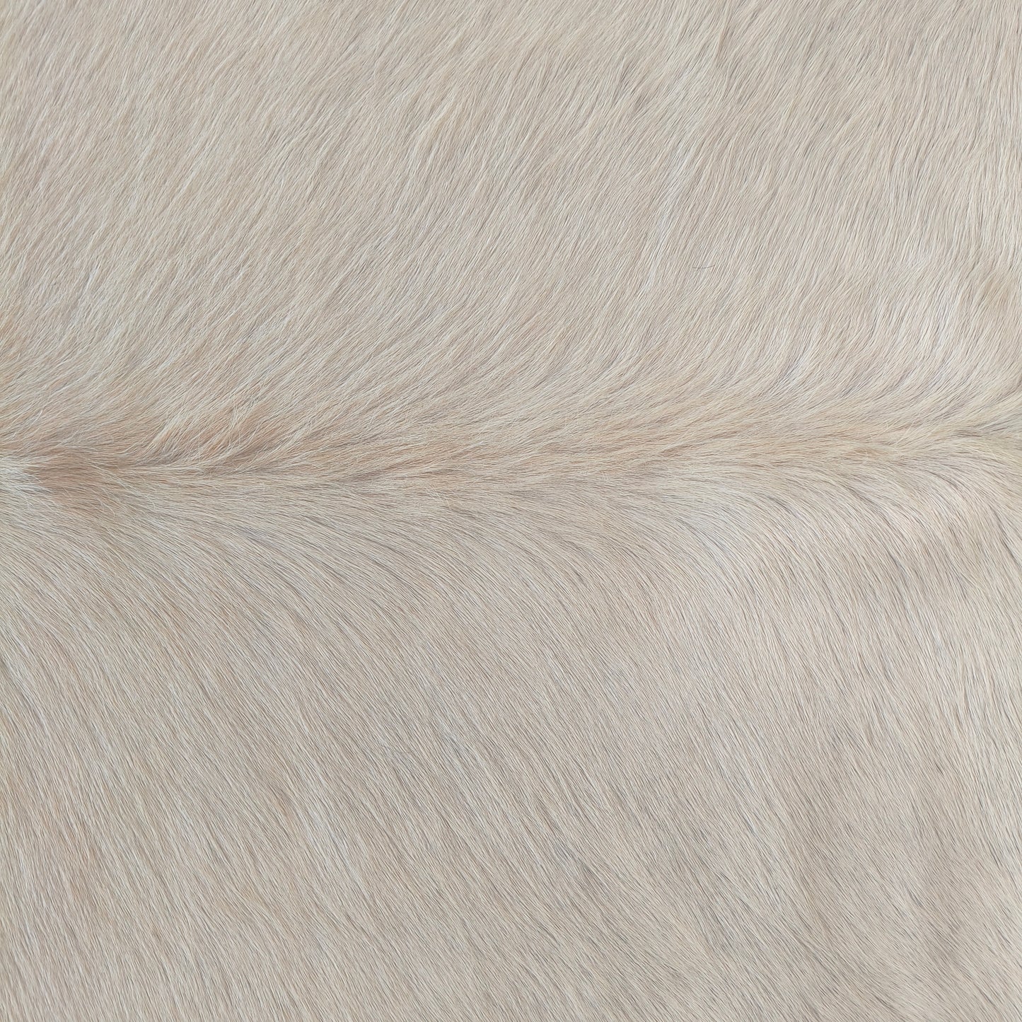 Tapete de couro de boi branco pelo curto BRA1046 — foto real 2