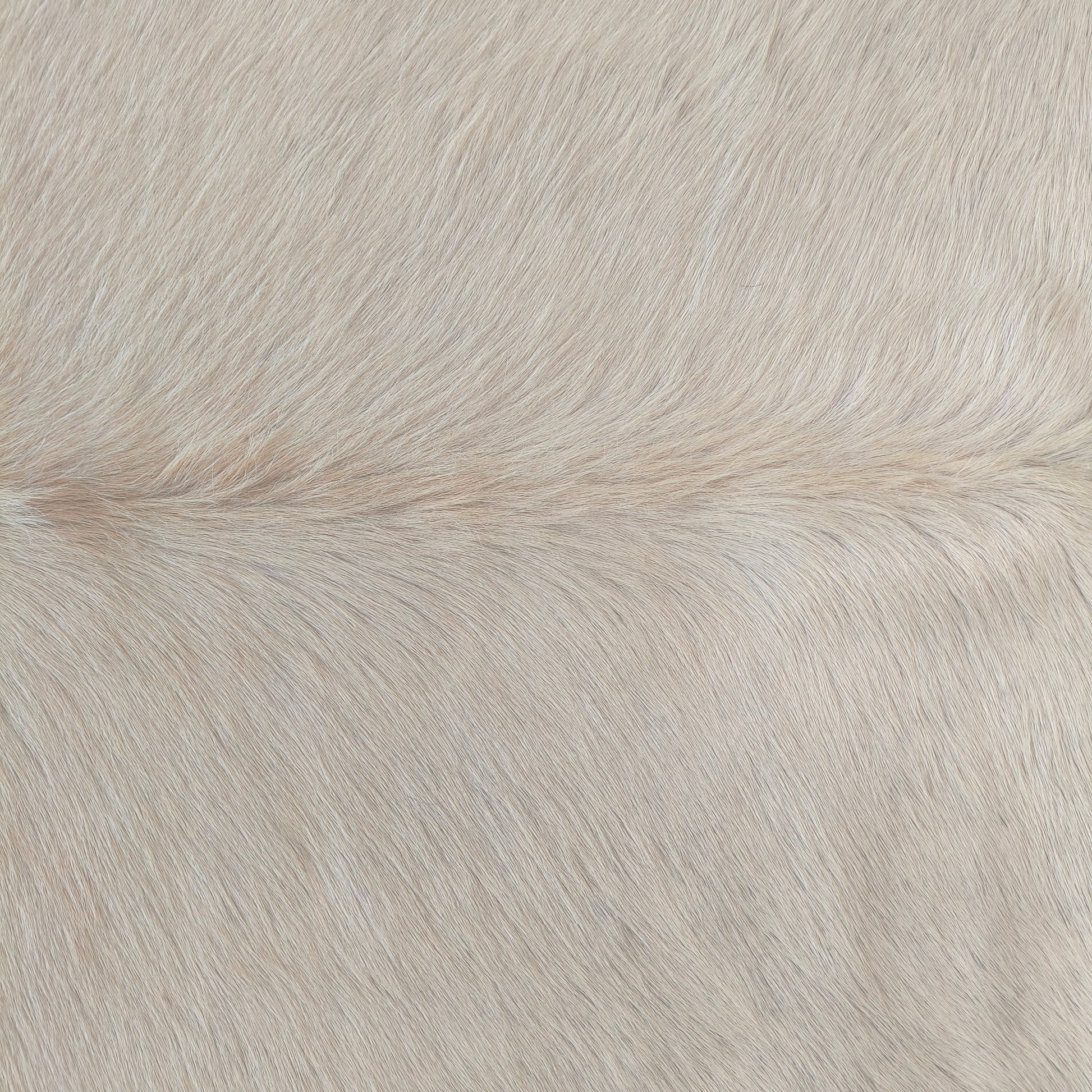 Tapete de couro de boi branco pelo curto BRA1046 — foto real 2