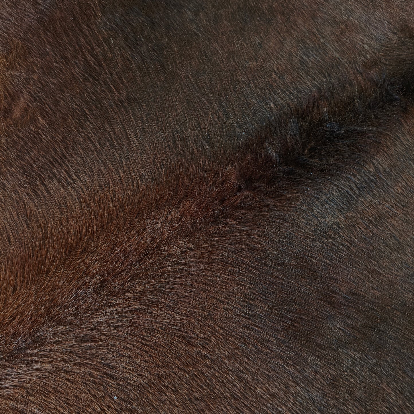 Tapete de couro de boi bege escuro OSC1022 — foto real 2
