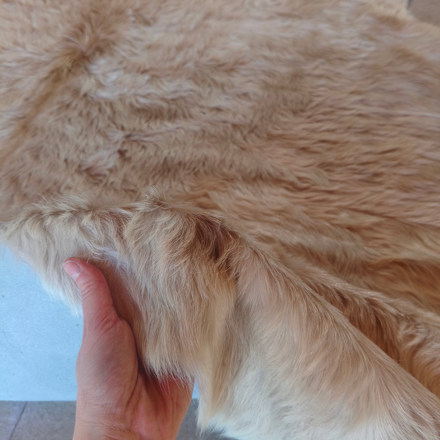 Tapete de couro de boi bege claro BE961 — foto real 3