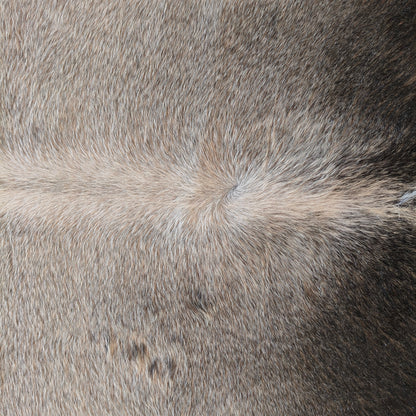 Tapete de couro de boi natural cinza e preto pelo curto macio GR1056 — foto real 2