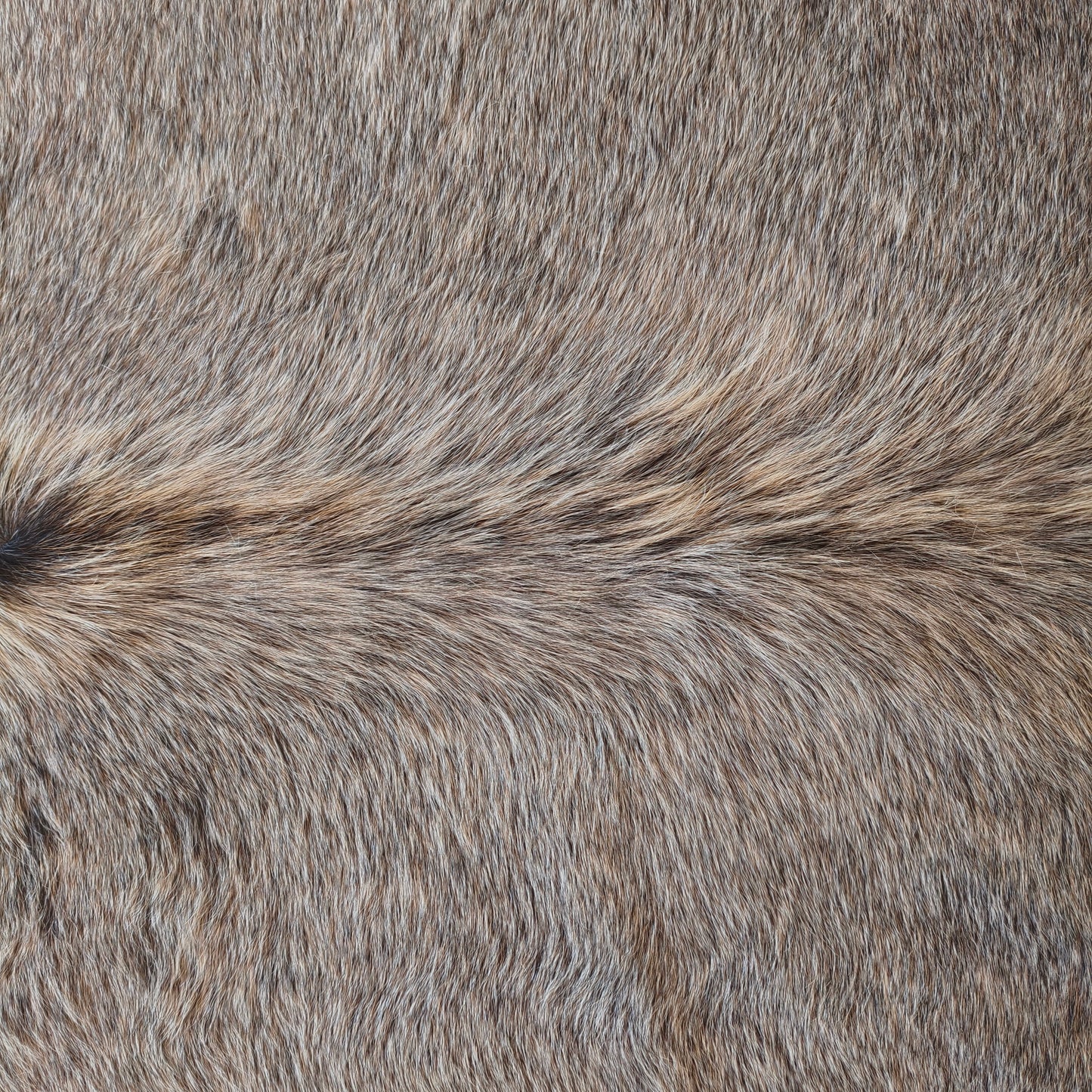 Tapete de couro de boi natural cinza pelo curto macio GR1058 — foto real 2