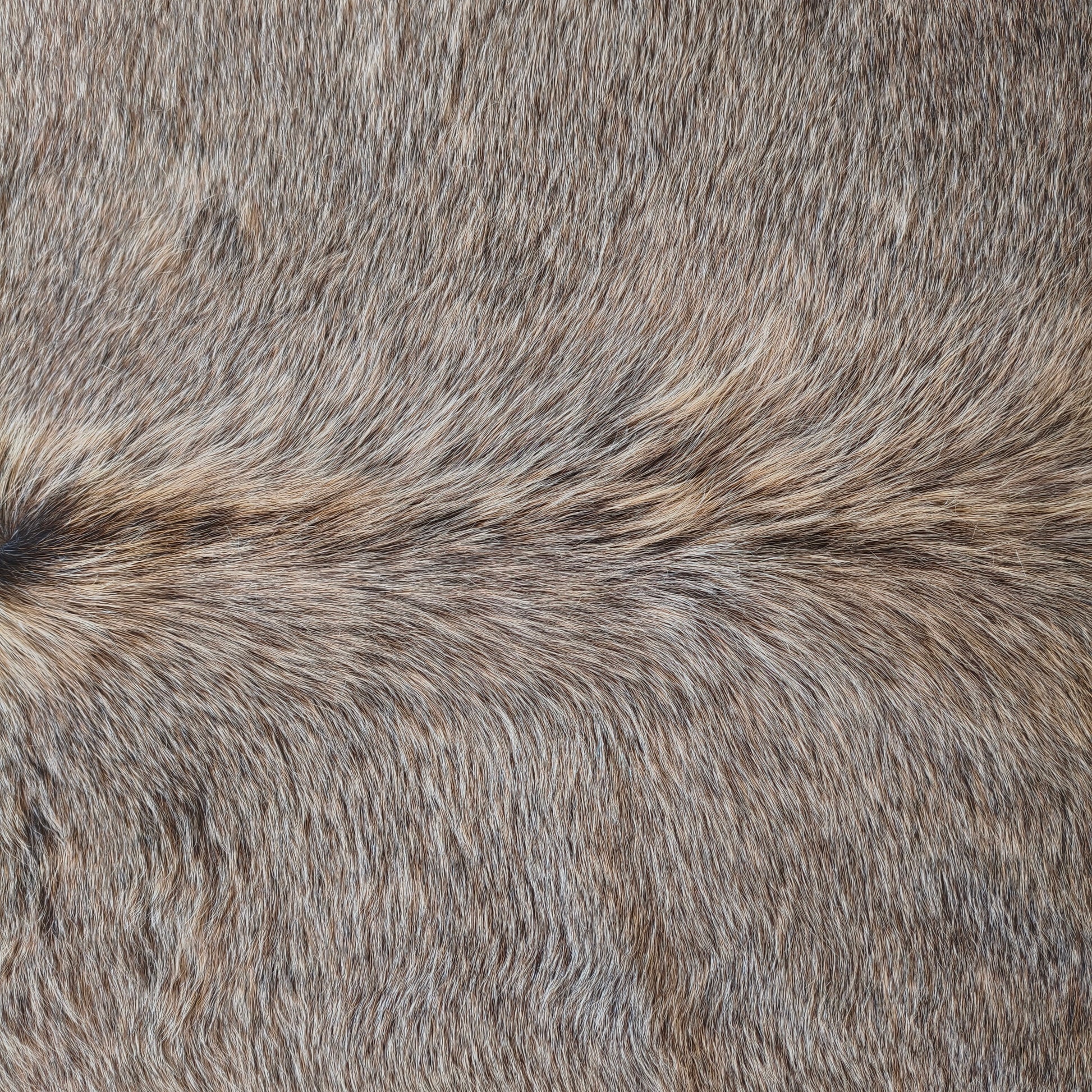 Tapete de couro de boi natural cinza pelo curto macio GR1058 — foto real 2