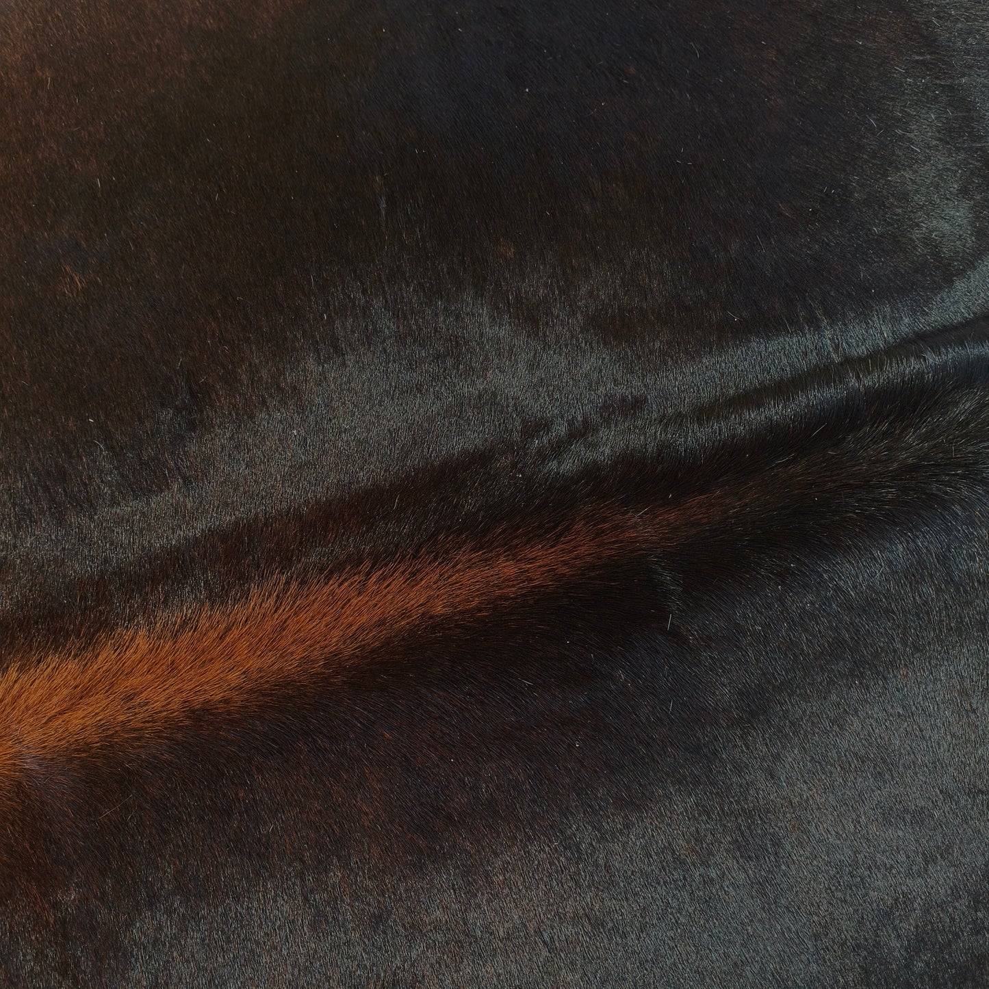 Tapete de couro de boi preto e vermelho OSC1001 — foto real 2