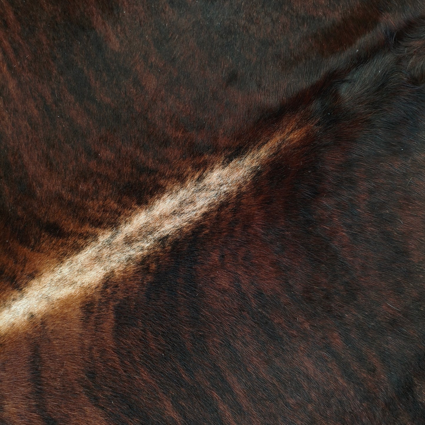 Tapete de couro de boi natural brazino pelo curto macio BZC1037 — foto real 2
