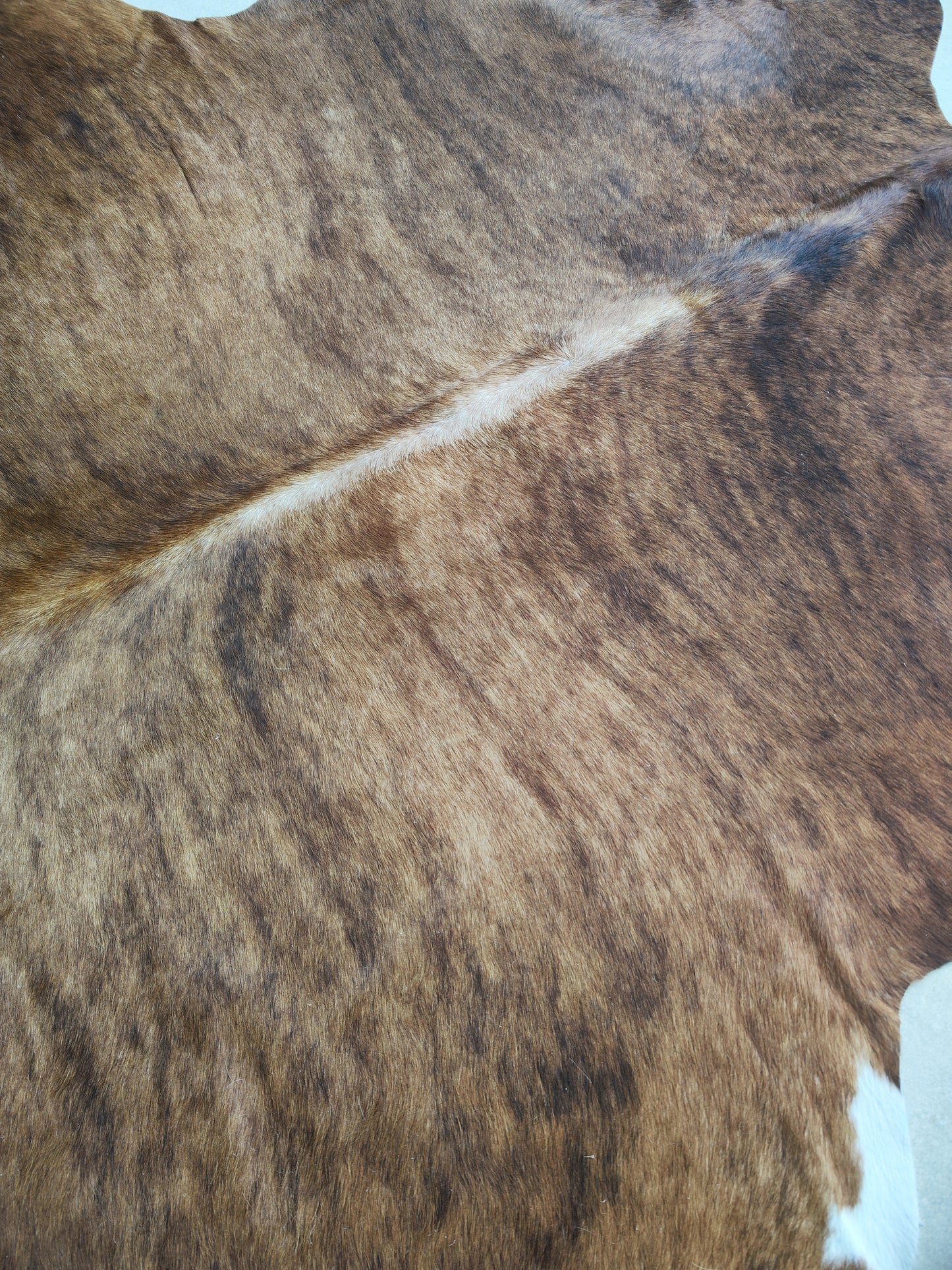 Tapete Bovino Natural Brazino Escuro I BZE824| 2,06x2,02