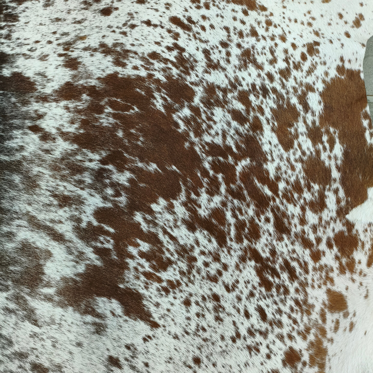 Salpicado castanho e preto sobre o branco do tapete tricolor EXC1297