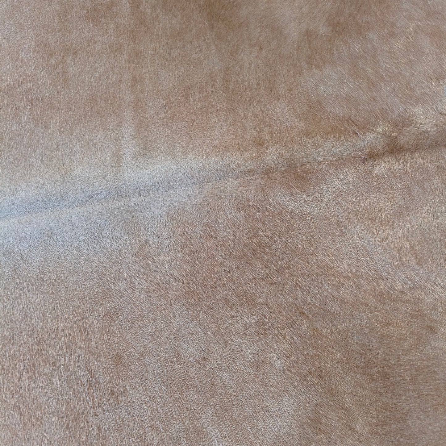 Tapete de couro de boi bege claro BC979 — foto real 2